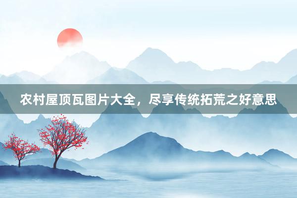 农村屋顶瓦图片大全，尽享传统拓荒之好意思